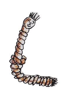 image of rope with face
